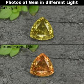 0.70캐럿 천연 골든 옐로우 컬러체인지 가넷, 트릴리언, 5.5×5.4 mm, VS