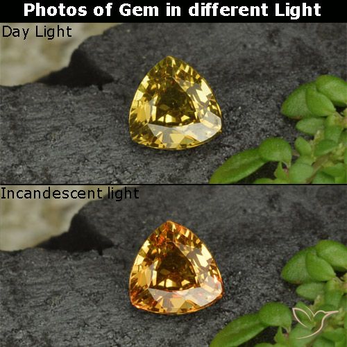 0.61캐럿 천연 골든 옐로우 컬러체인지 가넷, 트릴리언, 5.3×5.3 mm, VS