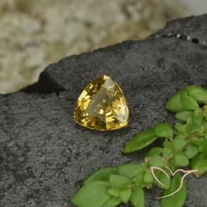 0.61캐럿 천연 골든 옐로우 컬러체인지 가넷, 트릴리언, 5.3×5.3 mm, VS