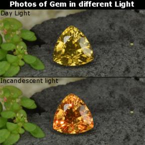 0.68캐럿 천연 골든 옐로우 컬러체인지 가넷, 트릴리언, 5.6×5.5 mm, VS