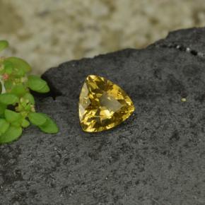0.68캐럿 천연 골든 옐로우 컬러체인지 가넷, 트릴리언, 5.6×5.5 mm, VS