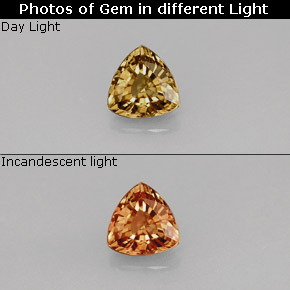 0.68캐럿 천연 골든 브라운에서 오렌지 컬러체인지 가넷, 트릴리언, 5.4×5.3 mm, VVS-VS