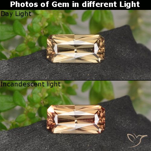 0.62ct 자연스러운 골든 브라운 색상 변경 가넷, 에메랄드 컷, VVS-VS