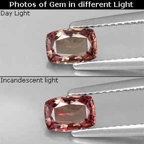 0.76캐럿 천연 미디엄 브라운 컬러체인지 가넷, 쿠션 컷, 6.4×4.5 mm, VVS-VS