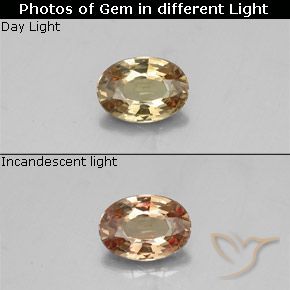 0.50ct 자연스러운 골든 브라운 색상 변경 가넷, 타원형, VVS-VS