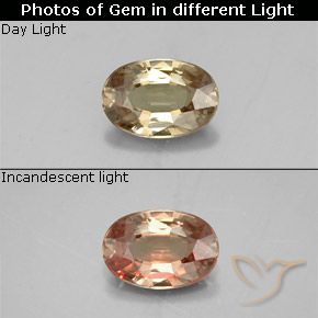 0.58ct 자연스러운 골든 브라운 색상 변경 가넷, 타원형, VVS-VS