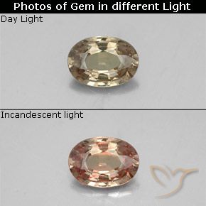 0.52ct 자연스러운 골든 브라운 색상 변경 가넷, 타원형, VS-SI