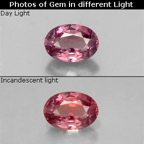 0.61캐럿 천연 퍼플에서 레드 핑크 컬러체인지 가넷, 타원형 컷, 5.8×4 mm, VS