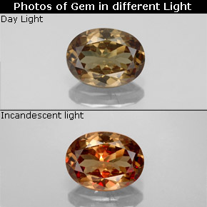 1.55캐럿 천연 골든 브라운에서 오렌지 색상 변경 가넷, 타원형 컷, VS