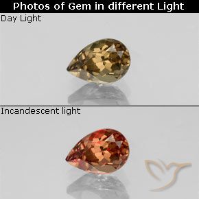0.61ct 자연스러운 골든 브라운 색상 변경 가넷, 배 모양, VVS-VS