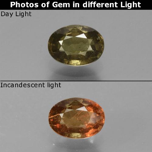 0.69캐럿 천연 골든 옐로우 컬러체인지 가넷, 타원형 컷, 5.9×4.3 mm, VS