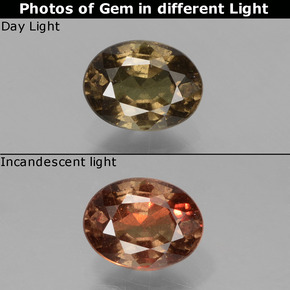 0.89캐럿 천연 다크 브라운 컬러체인지 가넷, 타원형 컷, 6.4×4.8 mm, VS