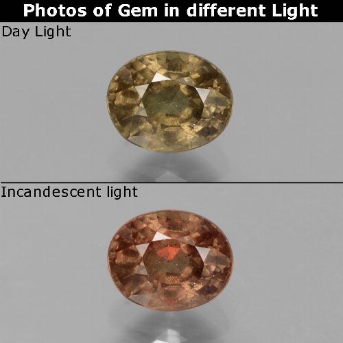 0.81캐럿 천연 다크 브라운 컬러체인지 가넷, 타원형 컷, 5.7×4.6 mm, VS
