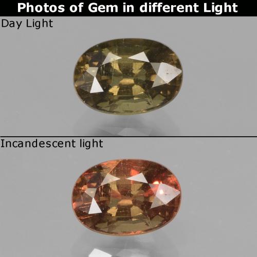 0.96캐럿 천연 다크 브라운 컬러체인지 가넷, 타원형 컷, 6.6×4.6 mm, VS-SI