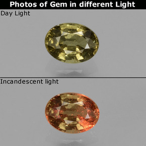 0.50캐럿 천연 초록빛이 도는 황금빛 갈색 색상 변경 가넷, 타원형 컷, VS