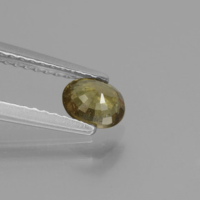 0.55캐럿 천연 미디엄 다크 브라운 색상 변경 가넷, 타원형 컷, VS