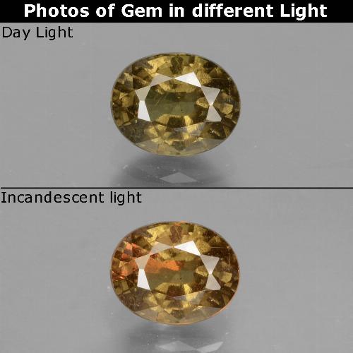 1.05캐럿 천연 미디엄 다크 브라운 색상 변경 가넷, 타원형 컷, VS-SI