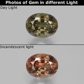 0.98캐럿 천연 어두운 갈색 색상 변경 가넷, 타원형 컷, VS