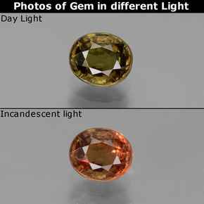 0.91캐럿 천연 그린에서 레드핑크 컬러체인지 가넷, 타원형 컷, 5.7×4.9 mm, VS