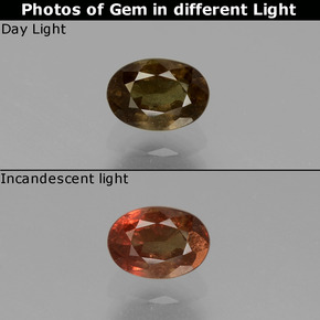 0.74캐럿 천연 녹색에서 빨강-분홍색 색상 변경 가넷, 타원형 컷, VS