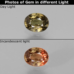 0.77캐럿 천연 미디엄 다크 브라운 컬러체인지 가넷, 타원형 컷, 6.1×4.7 mm, VS
