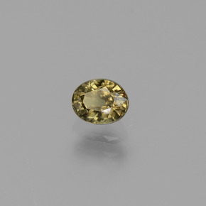 0.62캐럿 천연 녹색에서 빨강-분홍색 색상 변경 가넷, 타원형 컷, VS