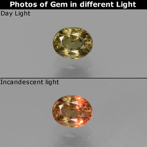 0.55캐럿 천연 그린에서 레드핑크 컬러체인지 가넷, 타원형 컷, 5×4 mm, VS