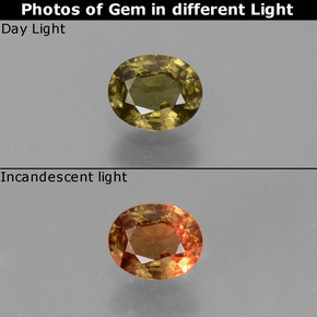 0.57캐럿 천연 그린에서 레드핑크 컬러체인지 가넷, 타원형 컷, 5.4×4.4 mm, VS
