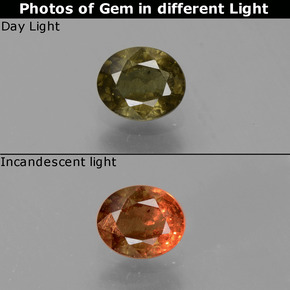 0.65캐럿 천연 녹색에서 빨강-분홍색 색상 변경 가넷, 타원형 컷, VS