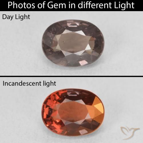 1.58ct 자연스러운 미디엄 라이트 브라운 색상 변경 가넷, 타원형, VVS-VS