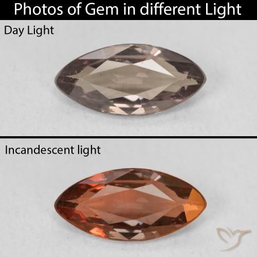 1.23ct 자연스러운 미디엄 라이트 브라운 색상 변경 가넷, 보석, VVS-VS