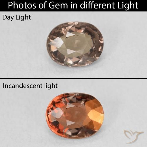 1.05ct 자연스러운 미디엄 라이트 브라운 색상 변경 가넷, 타원형, VVS-VS