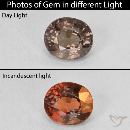 1.24ct 자연스러운 미디엄 라이트 브라운 색상 변경 가넷, 타원형, VVS-VS