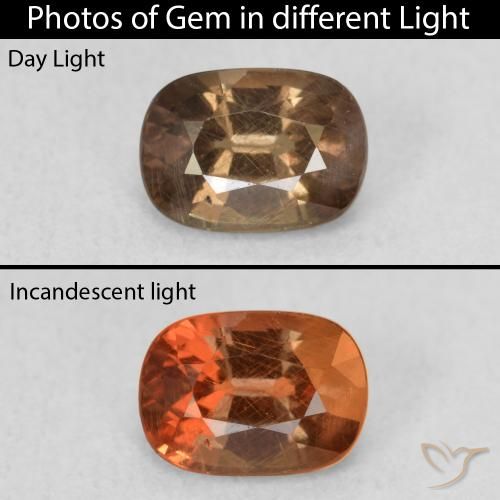 1.08ct 자연스러운 어두운 갈색 색상 변경 가넷, 타원형, VS