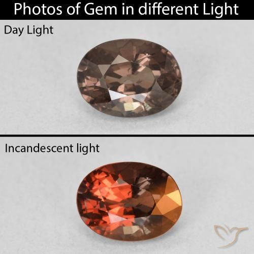 1.25ct 자연스러운 미디엄 라이트 브라운 색상 변경 가넷, 타원형, VS