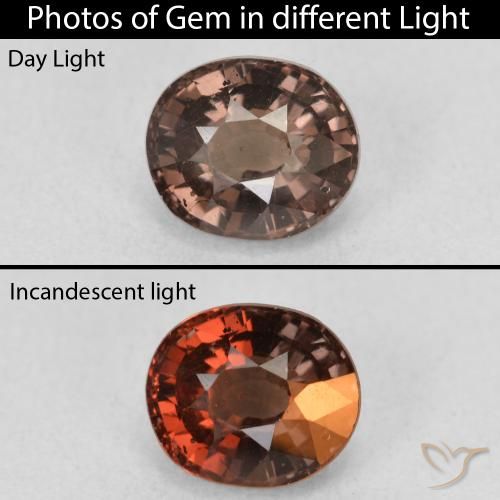 1.60ct 자연스러운 미디엄 라이트 브라운 색상 변경 가넷, 타원형, VS