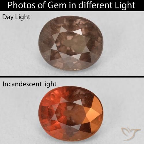 1.44ct 자연스러운 미디엄 라이트 브라운 색상 변경 가넷, 타원형, VS