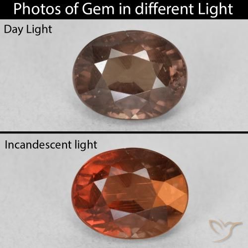 1.65ct 자연스러운 미디엄 라이트 브라운 색상 변경 가넷, 타원형, VS