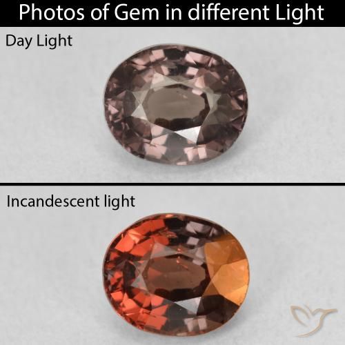 1.36ct 자연스러운 어두운 갈색 색상 변경 가넷, 타원형, VS