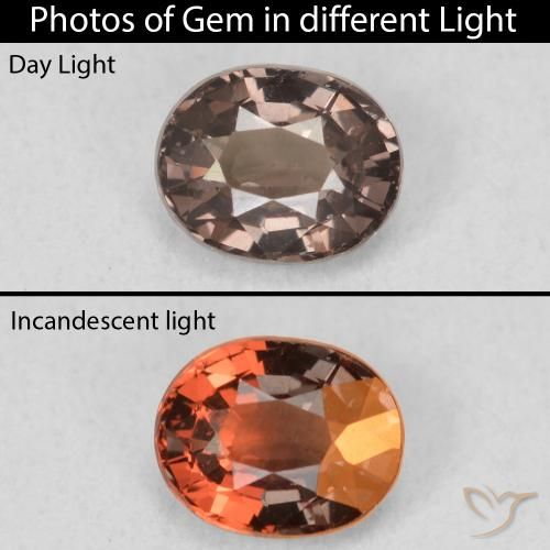 0.97ct 자연스러운 어두운 갈색 색상 변경 가넷, 타원형, VS