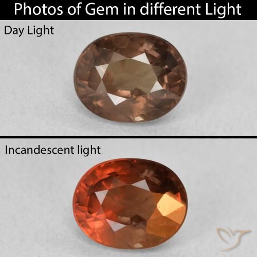 1.57ct 자연스러운 어두운 갈색 색상 변경 가넷, 타원형, VS