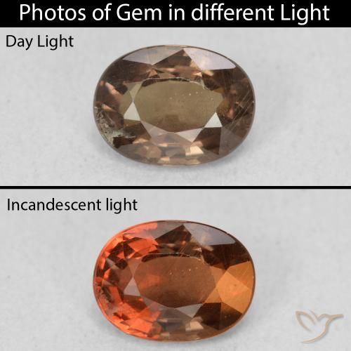 1.16ct 자연스러운 어두운 갈색 색상 변경 가넷, 타원형, VS