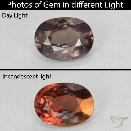 1.06ct 자연스러운 어두운 갈색 색상 변경 가넷, 타원형, VS