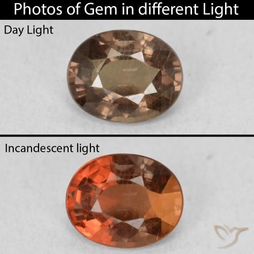1.01ct 자연스러운 어두운 갈색 색상 변경 가넷, 타원형, VS