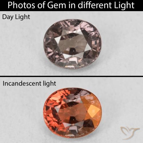 1.00ct 자연스러운 어두운 갈색 색상 변경 가넷, 타원형, VS