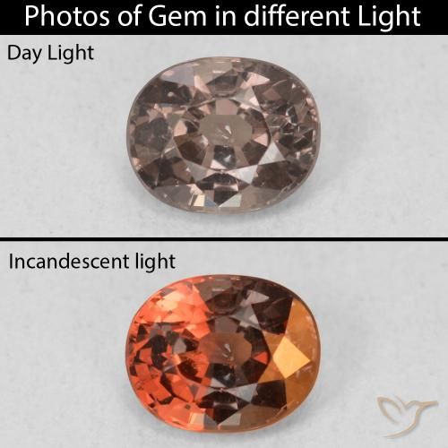 0.97ct 자연스러운 어두운 갈색 색상 변경 가넷, 타원형, VS
