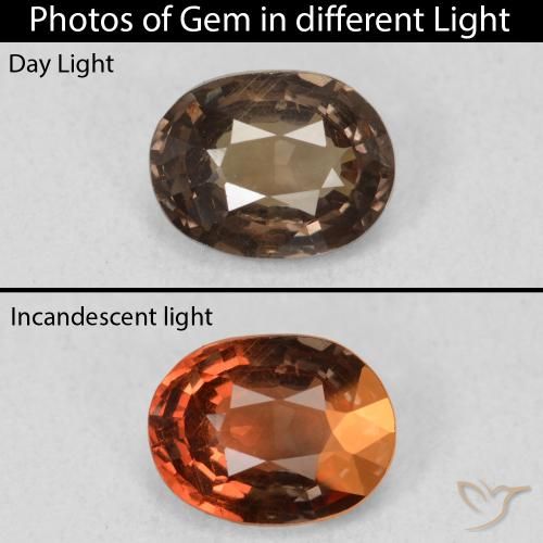 1.26ct 자연스러운 어두운 갈색 색상 변경 가넷, 타원형, VS