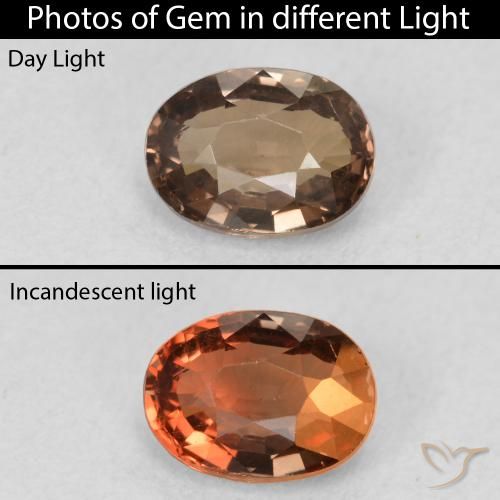 1.16ct 자연스러운 미디엄 브라운 색상 변경 가넷, 타원형, VVS