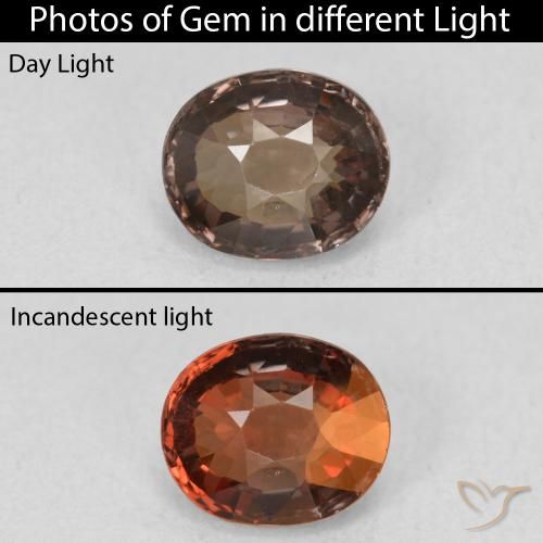 1.39ct 자연스러운 미디엄 브라운 색상 변경 가넷, 타원형, VVS
