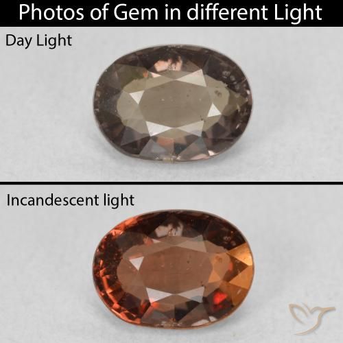 1.17ct 자연스러운 웜 브라운 색상 변경 가넷, 타원형, VS